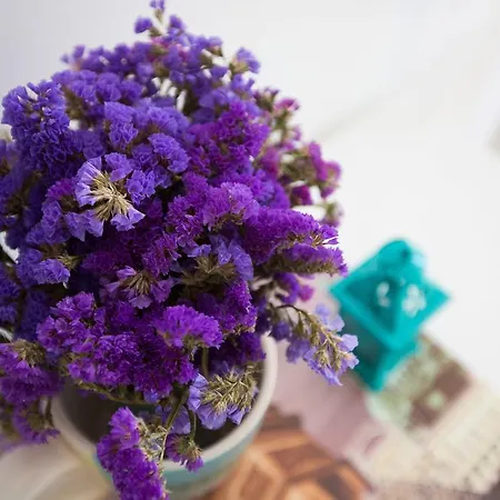 Blue Lagune Dubrovnik