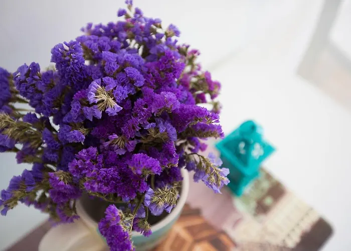 Blue Lagune Dubrovník